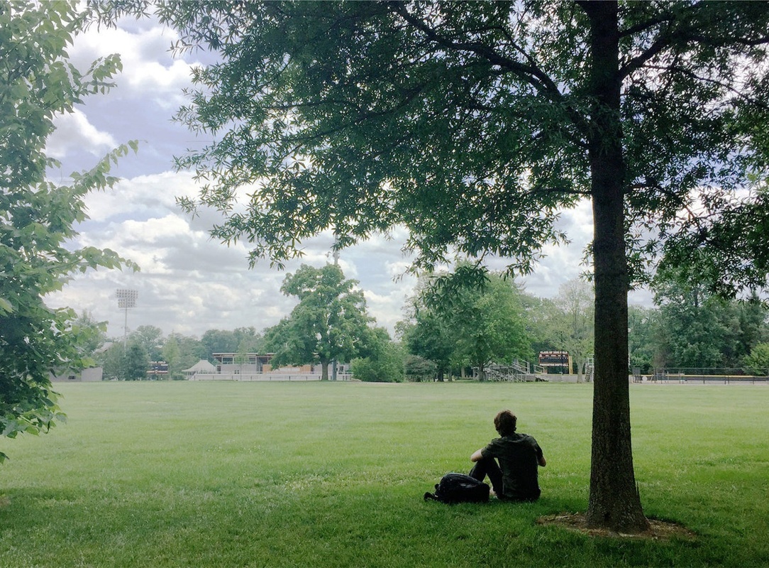 Grassy field with student and tree in foreground.